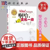 正版 Aha!Insight啊哈 灵机一动 马丁·伽德纳著 20世纪科普经典特藏 奇思妙想趣味数学游戏书籍 科学出