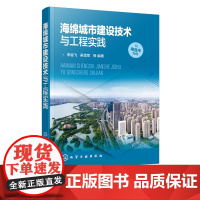 海绵城市建设技术与工程实践 李益飞 城市建设规划设计书籍 城市水环境治理的实践经验 海绵城市建造商和运营参考