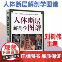 人体断层解剖学图谱 刘树伟 山东科学技术出版社