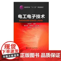 电工电子技术 苑苓苓 微电子电路设计 电子元器件 数字电路模拟电路原理 应用电子工程师 电路电工电力元件技术分析设计资料