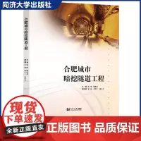 合肥城市暗挖隧道工程 浅埋暗挖技术是城市隧道的主要修建方法之一 隧道设计 工程实践 施工工法 同济大学出版社