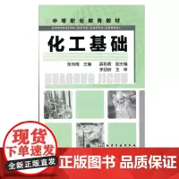 化工基础 张传梅 化工轻工及相关专业书 精细化工工艺学基础及技术开发普通高等教育十三五规划教材基础化学实验教材化工制药生