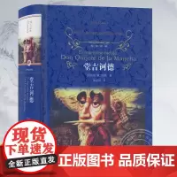 [经典译林]堂吉诃德 课外阅读名著书籍 译林出版社 震撼心灵 外国现当代世界经典文学名著学生 无删减高中生读物杨绛