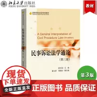 民事诉讼法学通论 第三版 洪冬英 2020年第3版 依据新颁布的民法典修订 北京大学出版社 高等学校法学教材 法学专业主