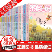 任选2册 笑猫日记全套29册 戴口罩的猫第27册最新版单本幸运女神宠儿第26册杨红樱小说属猫的人 转动时光的伞带口罩的猫