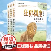 正版 狂野国度三部曲全3册 狼国故事凌岚著雄狮的荣耀猎豹的抉择9-12岁小学生三四五六年级课外书石溪动物小说世界狮子王辛