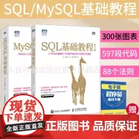 [店正版]SQL基础教程 第2二版/MySQL基础教程 数据库MySQL入门教程PHPweb开发教程书籍MySQL