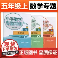 小学数学专项特训 简易方程+多边形的面积+小数乘除法五年级上册小学数学思维训练5年级人教版教材课堂同步数学练习册题计算天
