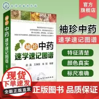 袖珍中药速学速记图谱 图解中草药大全 中医书籍 中草药中药药材品种类鉴别区分 中药学名名称大全教程书籍 药材分类大全图书