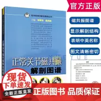 正常关节磁共振解剖图谱 李明华 医学影像学高清解剖图谱丛书 供医学生影像科医师及临床医师 骨科医师 等MRI解剖参考工具