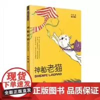 [正版]神秘老猫 苏梅 小学生四五六年级课外阅读 济南出版社