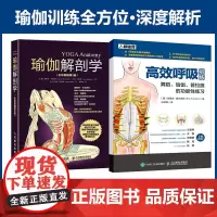 瑜伽解剖学+高效呼吸训练 舞蹈瑜伽普拉提的功能性练习 健身书籍呼吸之间瑜伽普拉提书籍初级入门瑜伽解剖学瑜伽书籍教程大全
