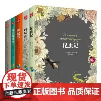 文通正版](5本)昆虫记+呼啸山庄+神秘岛+海底两万里+双城记 儿童文学书籍世界名著