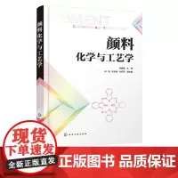 颜料化学与工艺学 李媛媛 颜料品种类型化学结构物理化学特性百科书 有机颜料无机颜料合成技术制造工艺性能应用表面改性技术