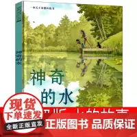 神奇的水画本水的故事绘本二年级课外书正版阅读书籍我是什么小学生一年级上册麦克米伦世纪童书21世纪出版社非注音版