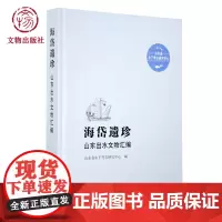 海岱遗珍——山东出水文物汇编 文物出版社店