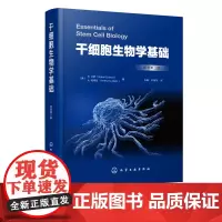 干细胞生物学基础 兰萨干细胞生物学特性调控机制外胚层中胚层内胚层干细胞治疗人类疾病应用技术干细胞作用机制伦理临床应用前