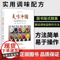 美味中国 实用调味配方大全 李河山 香料调料大全配方书 调料书籍调料大全书 调料汁书家常菜调味配方大全 烹饪调味料参考工
