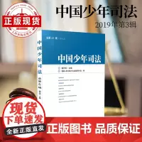 中国少年司法 2019年第3辑 总第41辑