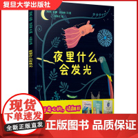 全新 夜里什么会发光[瑞典]莉娜·舒伯格 文/图 精装绘本 3-6岁儿童故事绘本 图画故事 复旦大学出版社