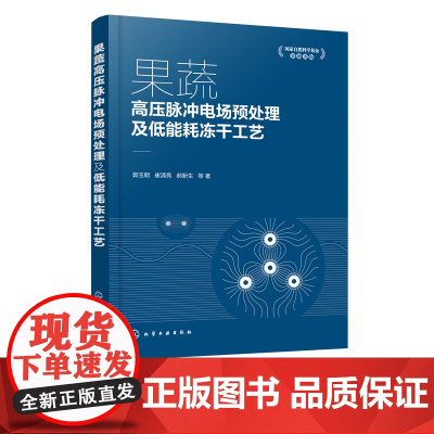 果蔬高压脉冲电场预处理及低能耗冻干工艺 果蔬加工应用书籍 果蔬真空冷冻干燥加工工艺研究 果蔬高压脉冲电场预处理技术书籍