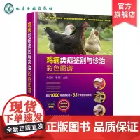 鸡病类症鉴别与诊治彩色图谱 孙卫东 诊疗防治养鸡技术书鸡常见症状诊断防控策略兽医书籍 安全用药家禽养殖大全高效土鸡实用手