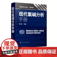现代氯碱分析手册 梁斌 氯碱行业检测分析方法无机氯用原辅材料现代氯碱行业检测分析专业技术书籍氯碱安全生产加工书