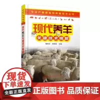 专业户健康高效养殖技术丛书 现代养羊关键技术精解 繁育技术 营养需要及饲料 肉羊绵羊饲养管理 常见病防治 科学牛羊养殖