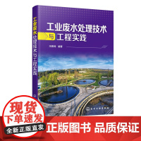 工业废水处理技术与工程实践 污水处理书籍 水资源污染治理 工业废水处理工艺与应用 纺织印染造纸石油化工废水处理技术与工程