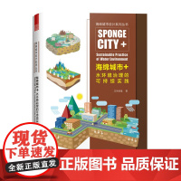 海绵城市+水环境治理的可持续实践市住宅区道路广场城市道路公园绿地景观设计规划雨水城市水系海绵化改造和建设方案实例分析书籍