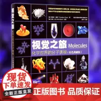 视觉之旅 化学世界的分子奥秘彩色典藏版西奥多格雷著化合物及其化学结构化学科普读物中学生教辅化学科普书籍