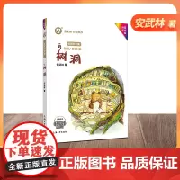 树洞 安武林的书注音彩绘版正版 小学生一年级二年级阅读课外书必读书籍故事书图书儿童读物暑假绘本拼音文集曹fb