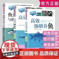 养鱼技术书 大全一本通 草鱼养鱼书籍 高效养淡水鱼+高效池塘养鱼+鱼病快速诊断与防治技术3册如何养殖水产图谱书鲤鱼饲料配