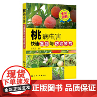 桃病虫害快速鉴别与防治妙招 王天元 编 桃 桃树 果树 病虫害 病害 虫害 防治 图鉴 农林院校果树及相关专业师生参考阅