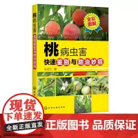 桃病虫害快速鉴别与防治妙招 王天元 编 桃 桃树 果树 病虫害 病害 虫害 防治 图鉴 农林院校果树及相关专业师生参考阅