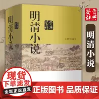 [正版]明清小说鉴赏辞典 上海辞书出版社文学鉴赏辞典编纂中心 编 世界名著文学 古代小说 古代文学书籍 上海辞书出版