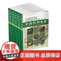 中国药用植物26-30 5册 中草药大辞典中药材书籍大全 本草纲目类药典彩色图谱 医学卫生药学 中草药功效讲解 药用植