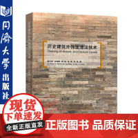 历史建筑外饰面清洁技术 戴仕炳 朱晓明 适文物保护行业相关管理工作者清洁操作 同济大学出版社 9787560885889