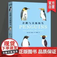 企鹅与其他海鸟 科普 艺术鉴赏马特休厄尔写给大人与小孩的艺术科普读物迷人的鸟类世界手绘插画书湖南美术出版社店 pr