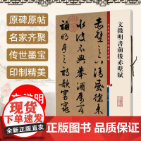 文徵明书前后赤壁赋 彩色放大本中国著名碑帖 繁体旁注 孙宝文 文征明成人学生毛笔字帖行草书书法临摹古帖书籍 上海辞书出版