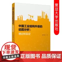 中国工业结构升级的动因分析 理论和实证 杨智峰 复旦大学出版社