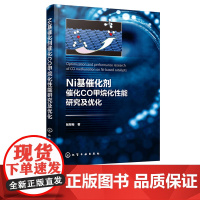 Ni基催化剂催化CO甲烷化性能研究及优化 智翠梅 煤炭资源清洁 低碳和高效开发利用技术指导书 煤制天然气核心技术参考书籍