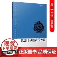 我国低碳经济的发展 徐大丰著 华东政法大学产业经济学重点学科建设成果 复旦大学出版社 经济学基础知识经济学生态学环境专业