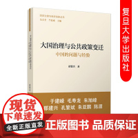 大国治理与公共政策变迁:中国的问题与经验 唐贤兴著 国家治理与政府创新丛书国家行政管理公共政策 复旦大学出版社