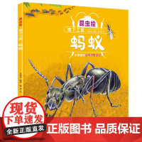 昆虫绘 地下工匠——蚂蚁 法布尔昆虫记改编的精细手绘本