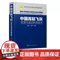 正版 中国高铝飞灰:资源与清洁利用技术 高煤灰高铝煤矸石等二次资源提取氧化铝关键技术系统研究 粉煤灰综合利用技术书籍