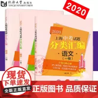 正版 2020版上海中考试题 分类汇编 语文+数学+英语 一模 共3本套装 专项突破题 上海中考一模卷分类汇编 含参考答