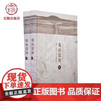 角山窑址 1983-2007年考古发掘报告 全2册 江西省文物考古研究院 鹰潭市博物馆 编著 文物出版社店