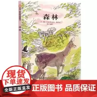 正版 森林 信谊世界精选图画书 亲子共读宝宝少幼儿童绘本 0-1-2-3-4-5-6-7-10岁儿童绘本故事信谊绘本精装