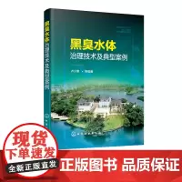 黑臭水体治理技术及典型案例 河流环境污染控制与修复技术书籍 黑臭水体防治 黑臭水体整治原则 治理基本思路及技术措施 污水